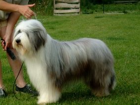 Sunset paradise De la forêt des hauts de galgals